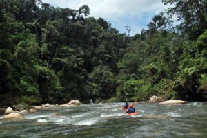 Kayak experiencie